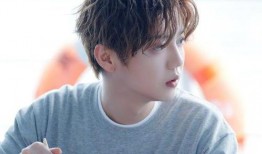 娱乐猛爆料成毅是真的吗,成毅真实身份揭秘，真相究竟如何？